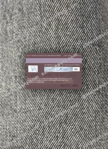 USA Morgan Stanley Bank visa card photolook back